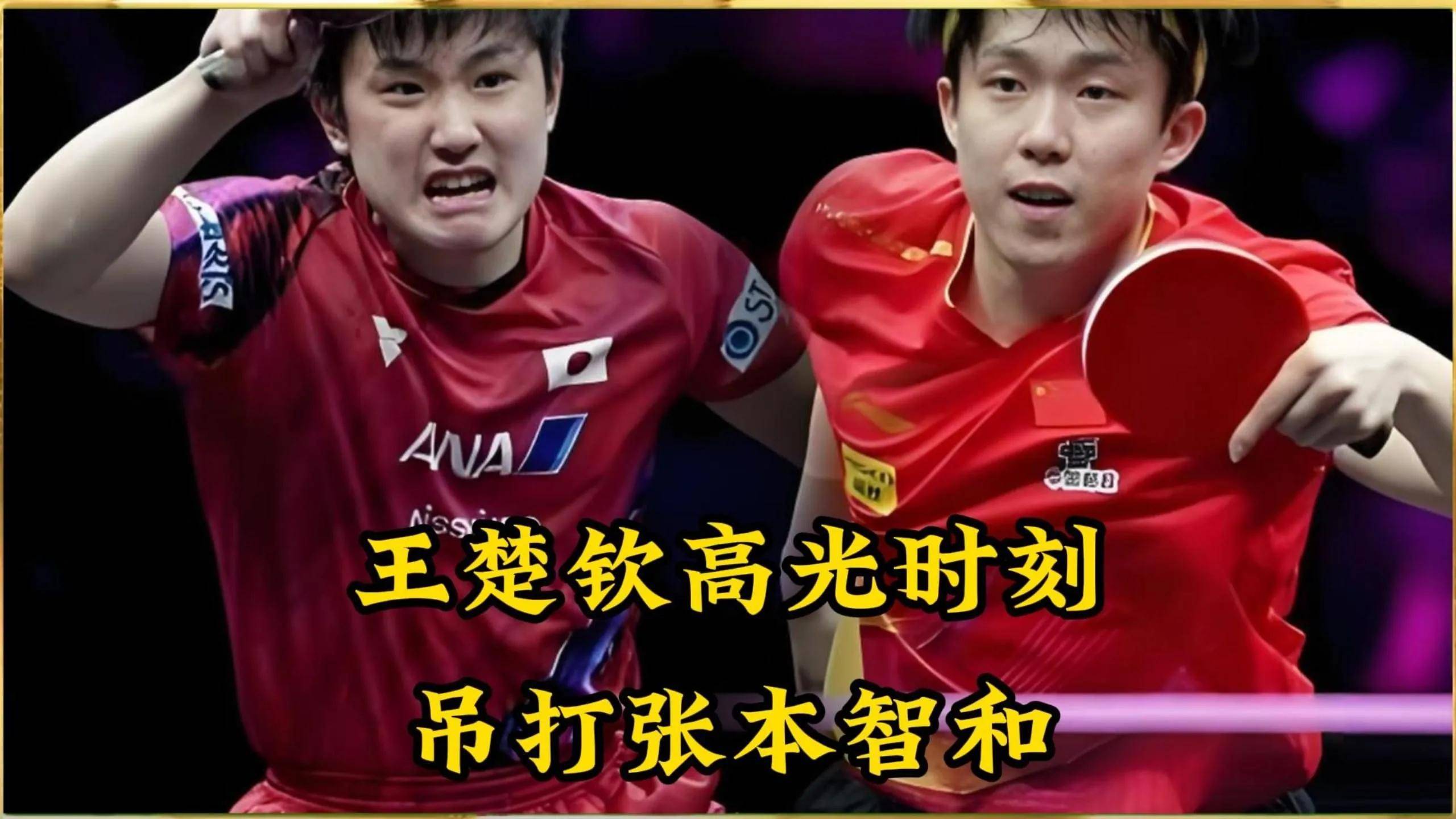 波兰队险胜瑞典队,张本智和统治全场 波兰队险胜瑞典队,张本智和统治全场