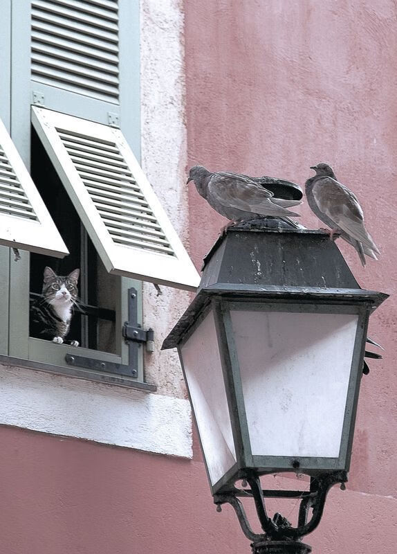 当东方太极虎遭遇安达卢西亚雄狮,罗德里的冠军棋局如何定义现代足球