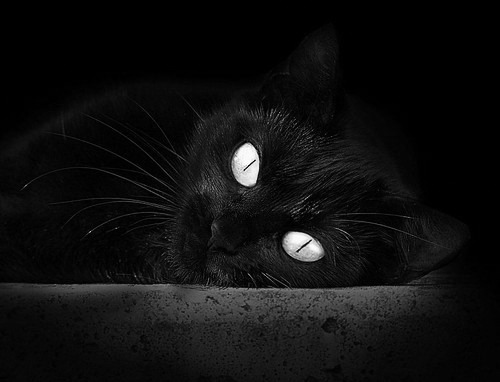 钢铁意志撕裂鹿群，一场名为恩比德的独白，篮网强行终结雄鹿的哲学