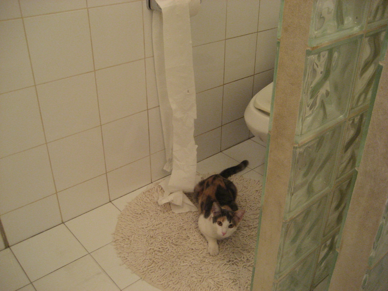 开云体育app-塞维利亚血拼几内亚铁阵，奥亚尔萨瓦尔一箭穿心定乾坤