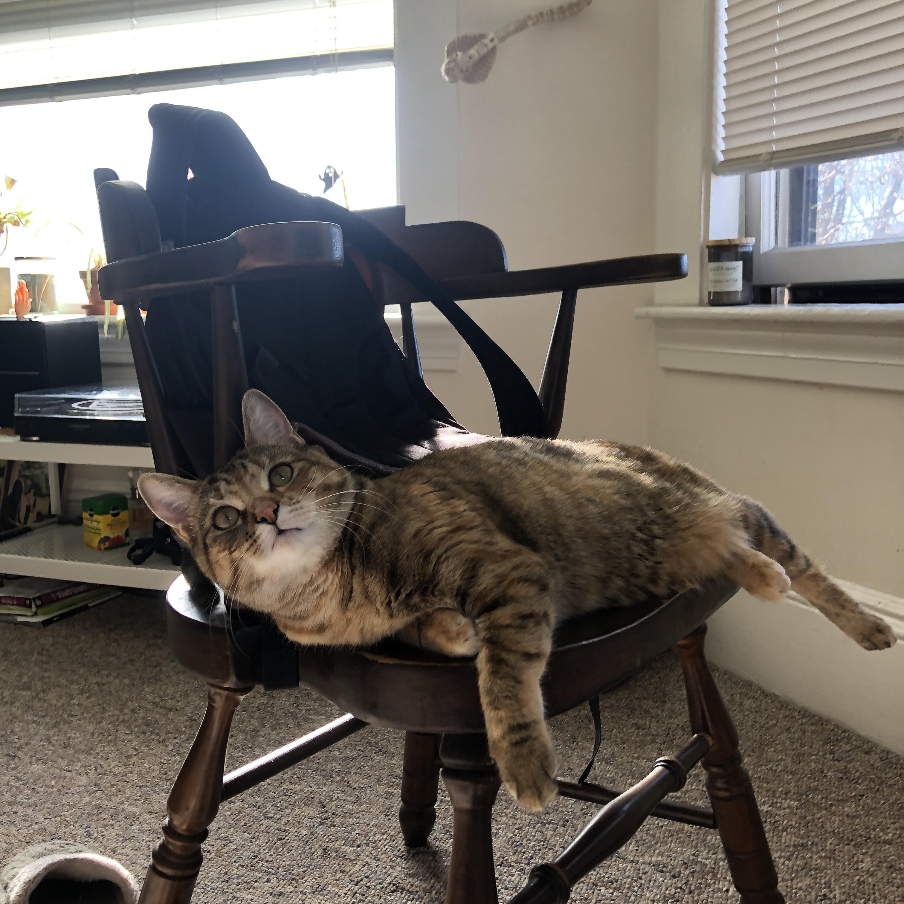 开云体育官网-一剑封喉！西班牙闪电战击溃瑞士，孔德化身致命刺客