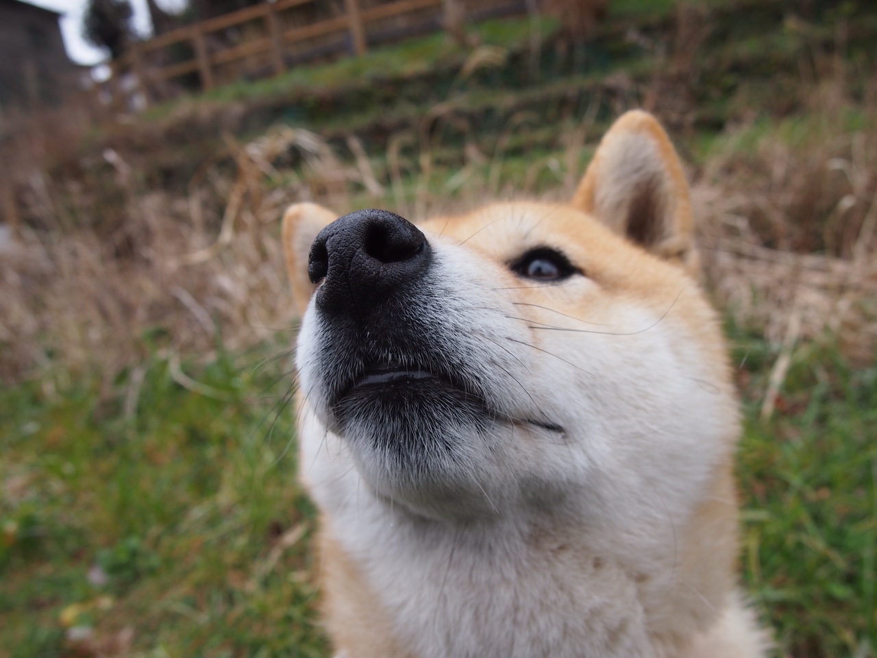 虚拟交锋,真实评分,当布伦森在元宇宙里打爆广东队