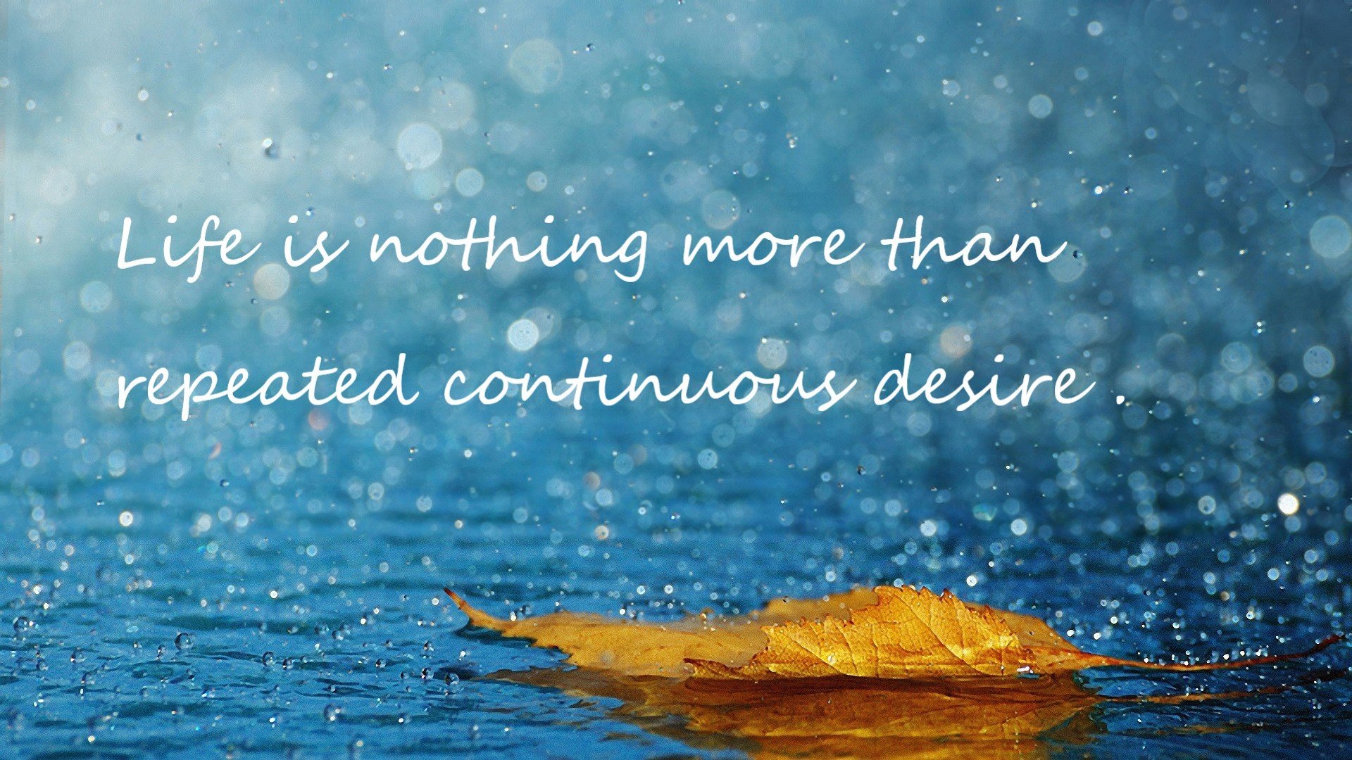 当马奎尔遇见卡瓦哈尔,一场虚构的跨界生死战如何重写现代竞技叙事