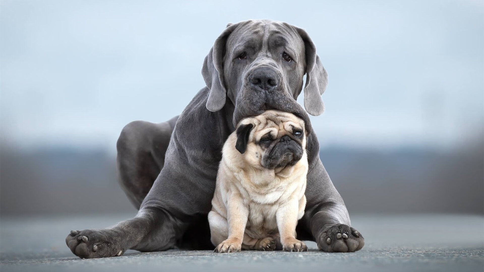 数据爆炸，当莱万帽子戏法遇上美秘贸易逆差