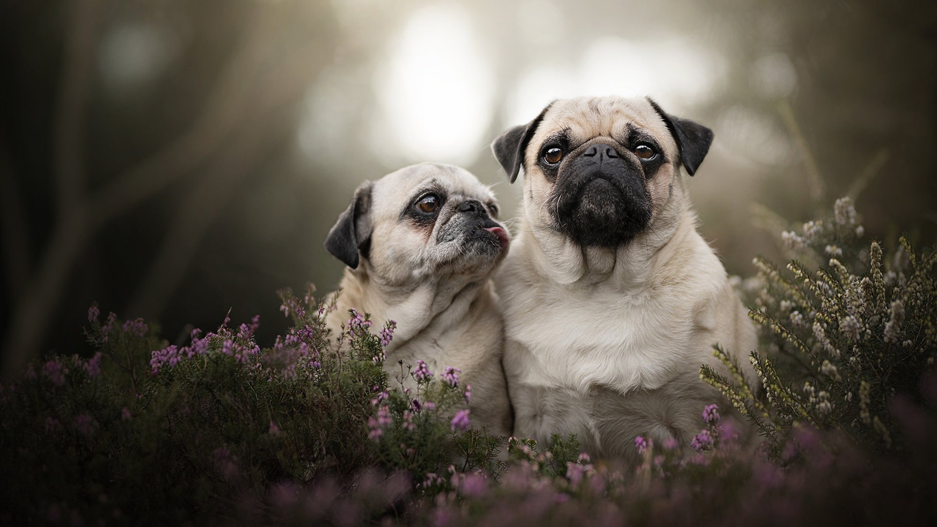 世纪协防与世纪射门，孔德如何在年度焦点之战中重塑比赛定义