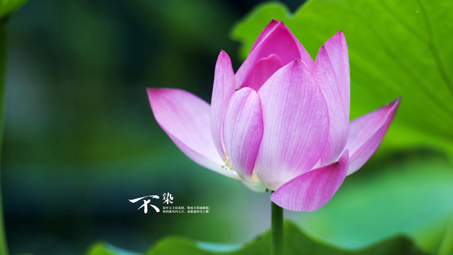 开云体育平台APP-克莱·汤普森的告别与重生