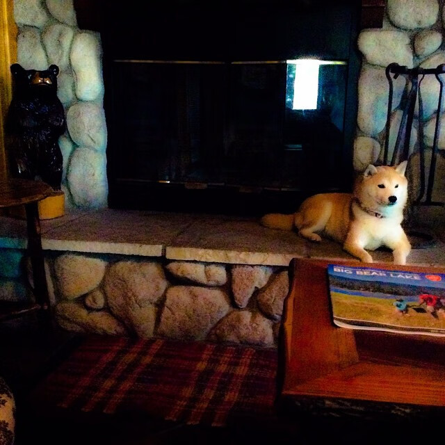 当焚风降临，太阳神碾碎王权，拉文于灰烬中加冕