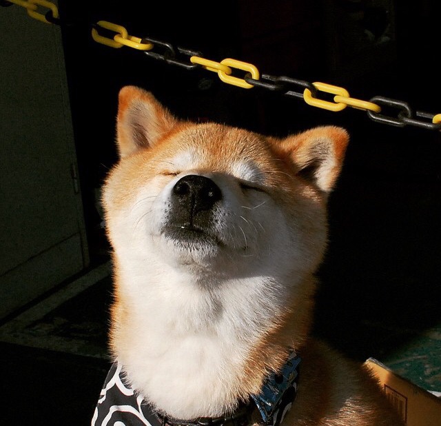 北方之战与南方之光，当芬兰冰川见证弗拉霍维奇的烈焰里程碑