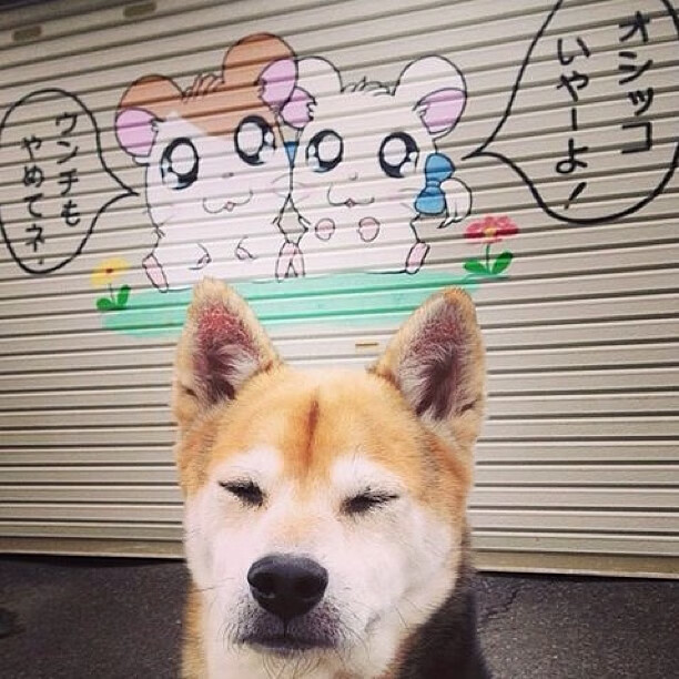 当高卢雄鸡在铁幕前冻僵,一场被雨水和维尼修斯改写的足球史诗