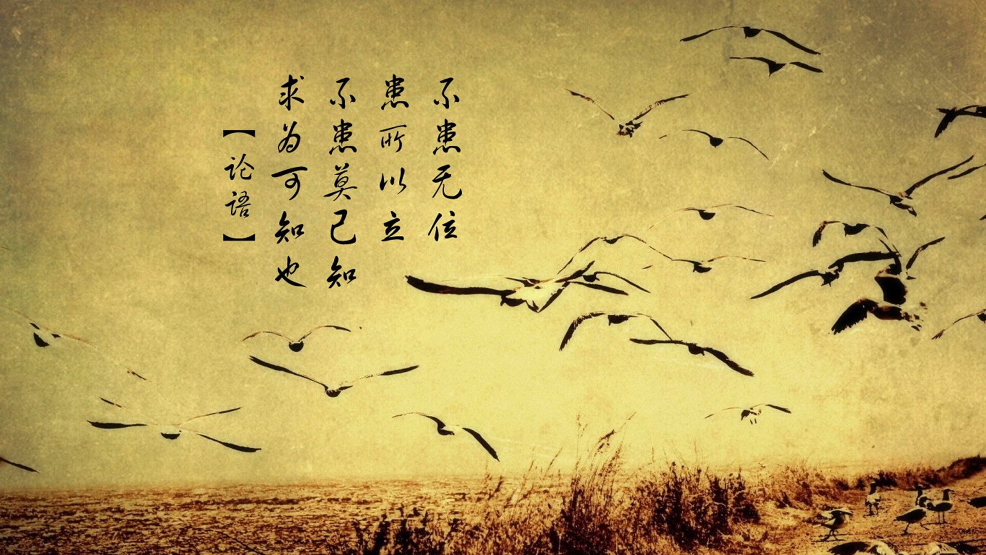 绝境狂澜！萨卡压哨一击定江山，厄瓜多尔横扫乌兹别克斯坦—2026世界杯强强对话上演神剧情