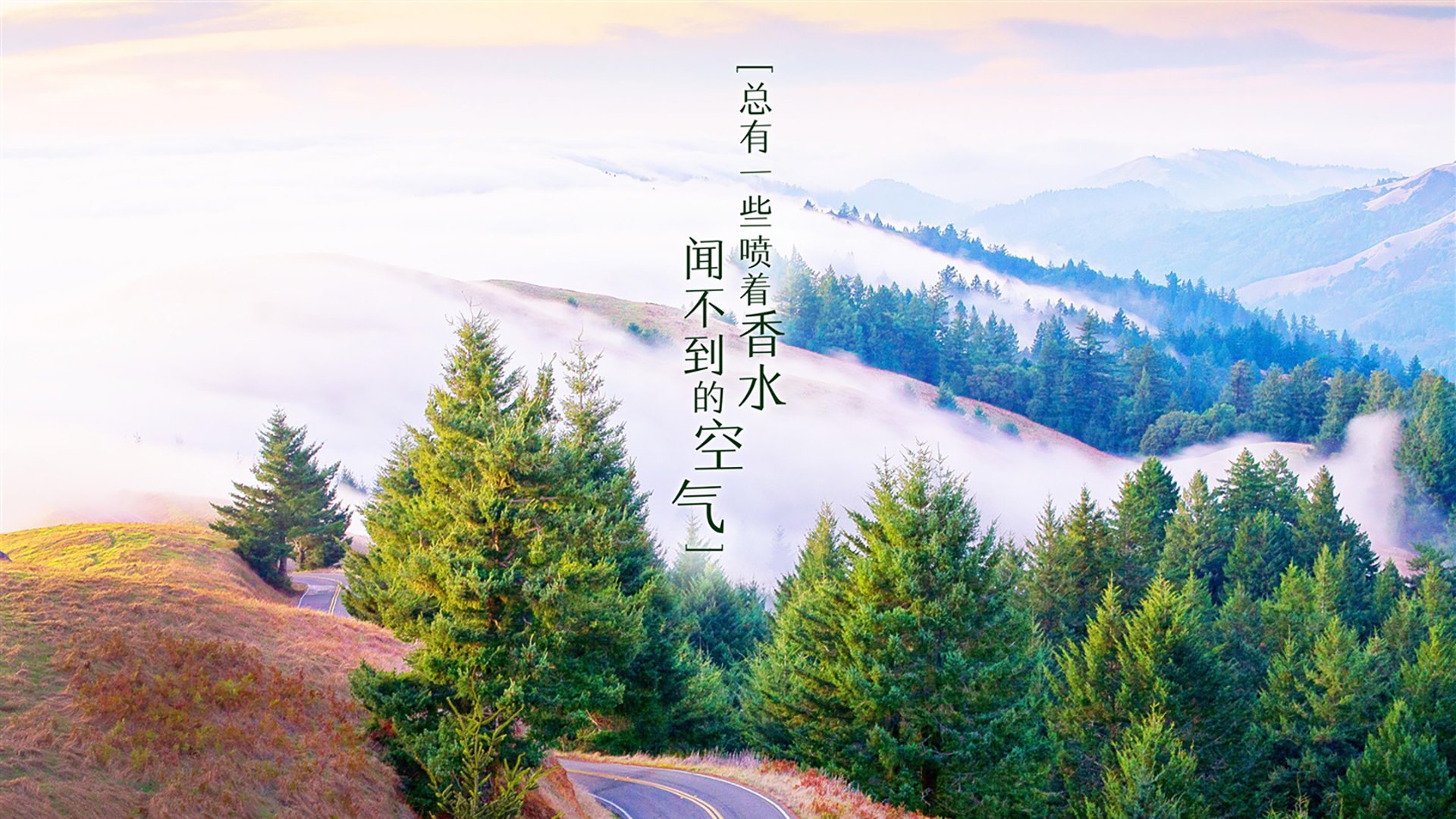 致命一击与窒息防线，当世界杯由蓝色Define—记2026世界杯E组那场唯一的博弈