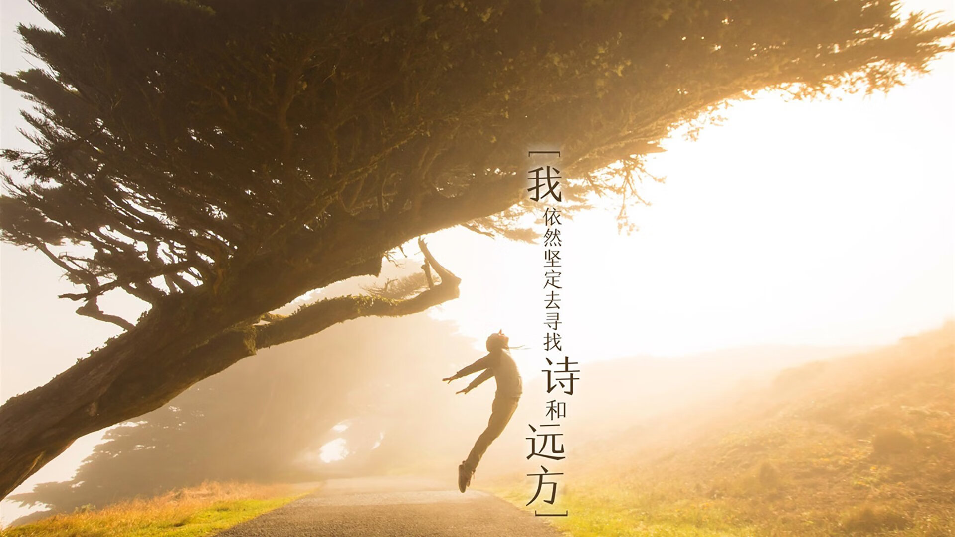 以下是为你构思的文章与内容
