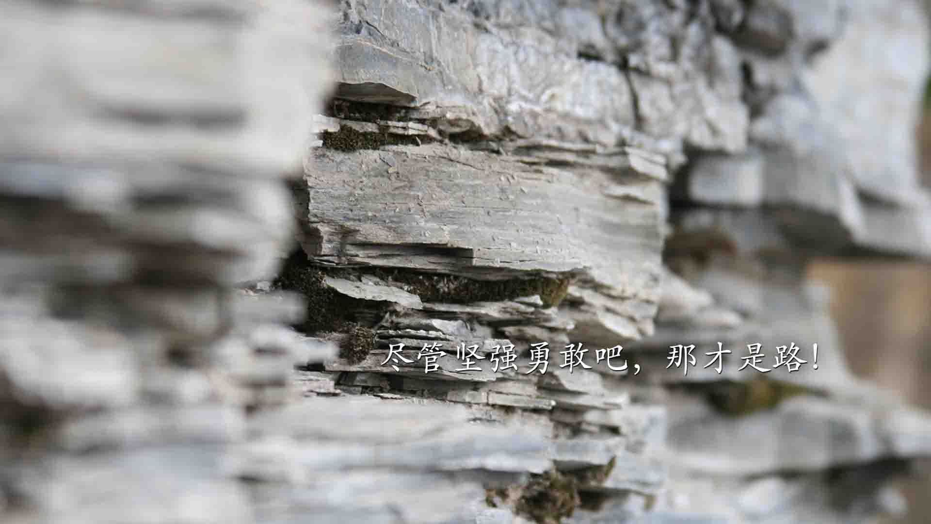 开云体育平台APP-亚的斯亚贝巴的眼泪，当德布劳内的弧线撕碎非洲之心
