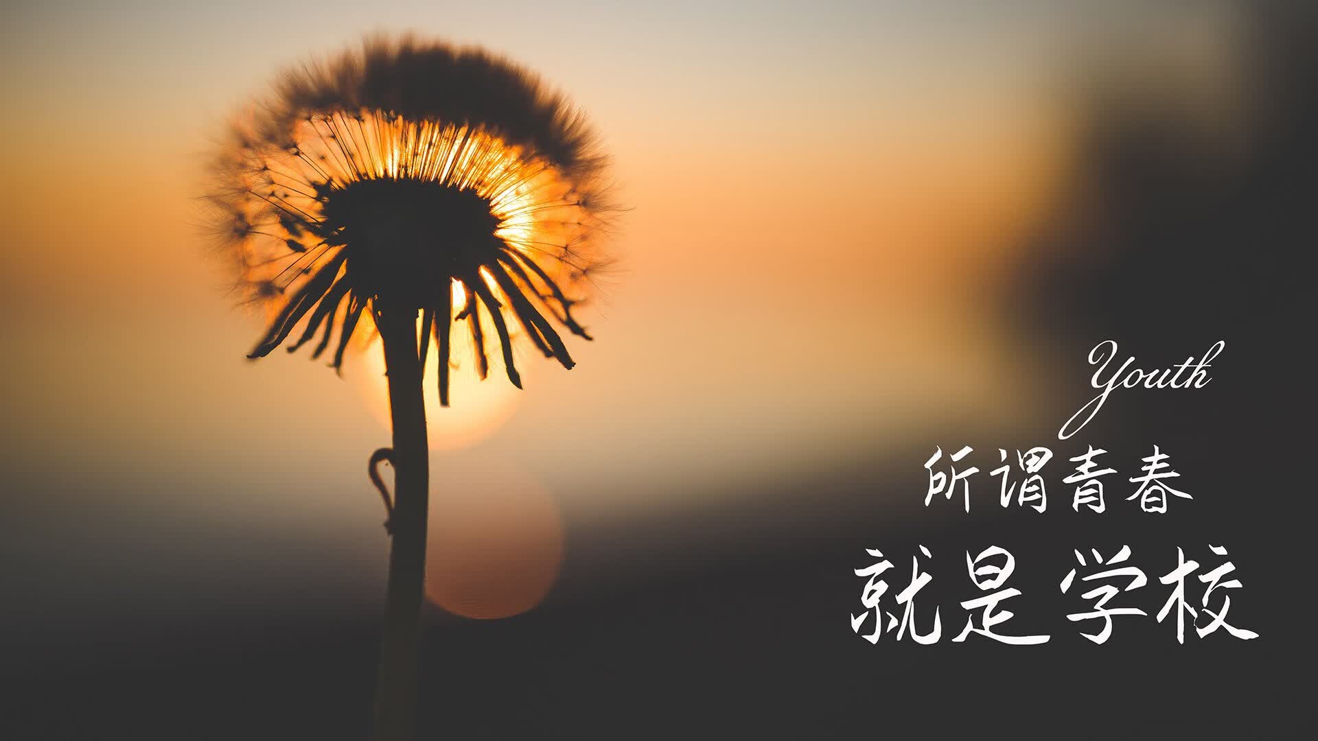 从黄金双枪到唯一解，2026世界杯D组，智利如何用苏亚雷斯的孤注一掷击穿泰国铁桶阵