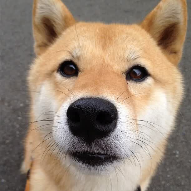 思考与解释