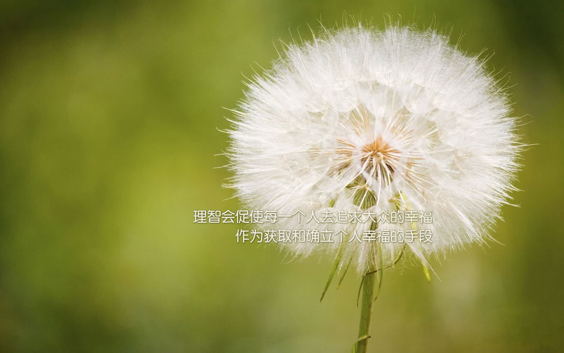 唯一性的胜利，当贝林厄姆的魔法，为德国战车注入全新灵魂