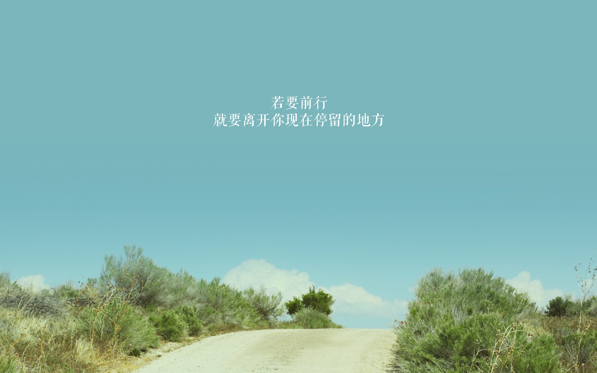 雄鹰折戟，黑鹰振翅，2026世界杯E组，尼日利亚全面压制巴西，德容引领复仇之战
